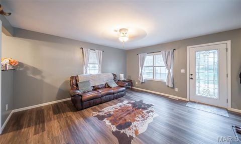 Tiny photo for 320 W South Street, Bowling Green, MO 63334 (MLS # 25065971)