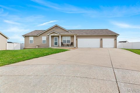 Photo of 343 Aspen Creek Drive, Wentzville, MO 63385 (MLS # 26033339)