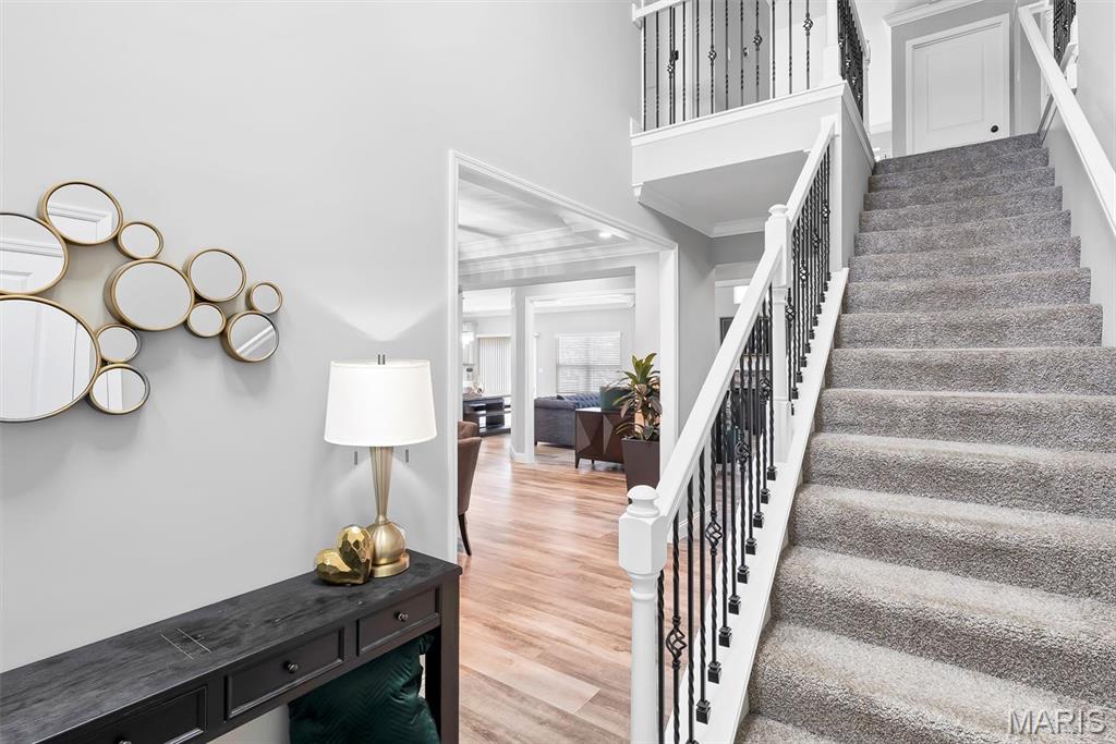 135 Pomodora Circle