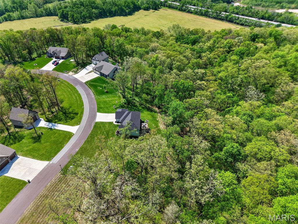 The Bluffs at Eagle Fork - Residential