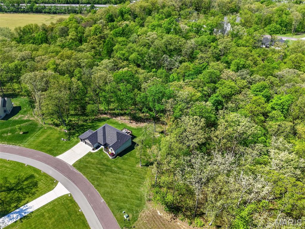 The Bluffs at Eagle Fork - Residential