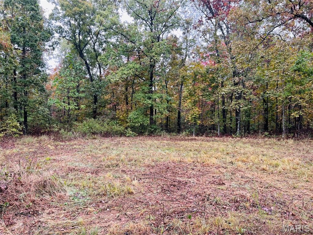 Photo of 0 Oregon Co. 142-255, Thayer, MO 65791 (MLS # 25072914)