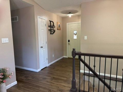 Tiny photo for 728 Santschi Drive, Herculaneum, MO 63048 (MLS # 26029486)