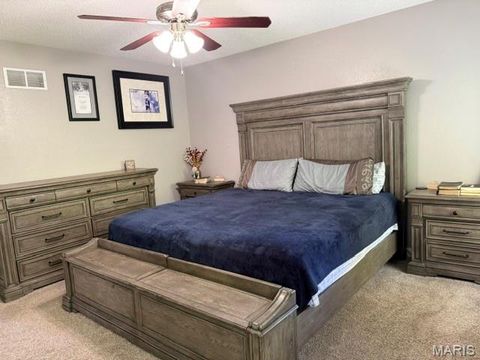Tiny photo for 728 Santschi Drive, Herculaneum, MO 63048 (MLS # 26029486)