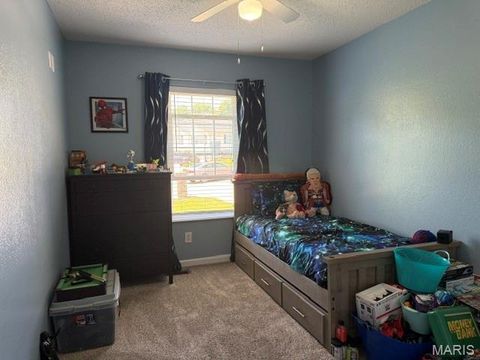 Tiny photo for 728 Santschi Drive, Herculaneum, MO 63048 (MLS # 26029486)