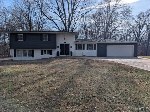 Photo of 123 E School Street, Fairview Heights, IL 62208 (MLS # 25080506)