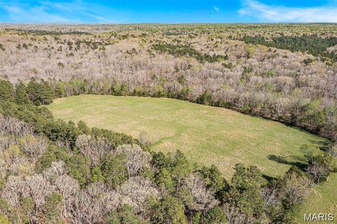 Tiny photo for 1 Off Highway M, Silva, MO 63964 (MLS # 26012809)