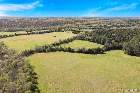 Tiny photo for 1 Off Highway M, Silva, MO 63964 (MLS # 26012809)