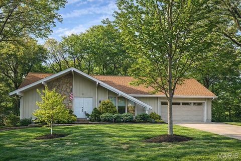 Photo of 13 Laurel Oaks Court, Lake Saint Louis, MO 63367 (MLS # 26031389)