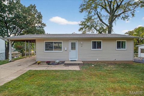 12 Ville Donna Court Hazelwood MO 63042