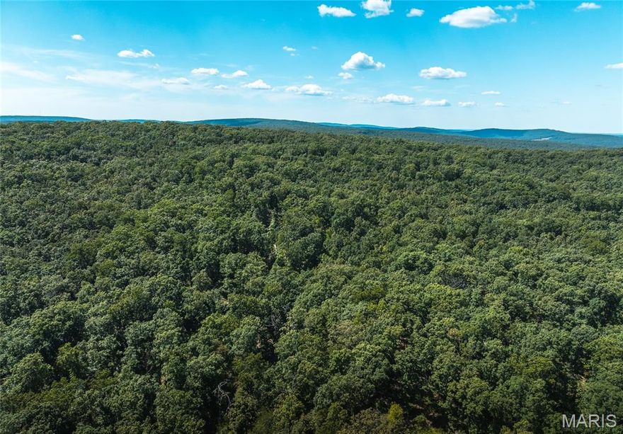 40 acres of hunting woods