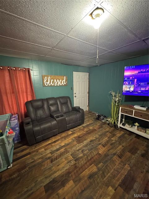 Tiny photo for 715 Pecan Street, Hornersville, MO 63855 (MLS # 26047225)