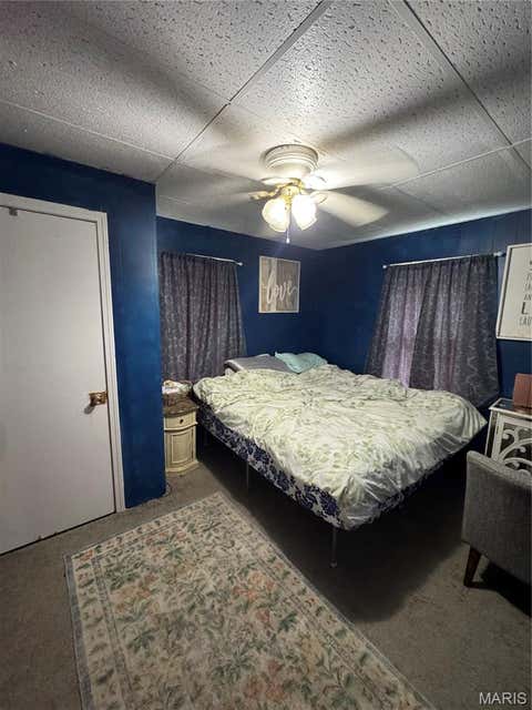 Tiny photo for 715 Pecan Street, Hornersville, MO 63855 (MLS # 26047225)