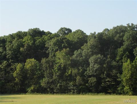 Tiny photo for 804 Timber Creek Court, Hawk Point, MO 63349 (MLS # 25062386)