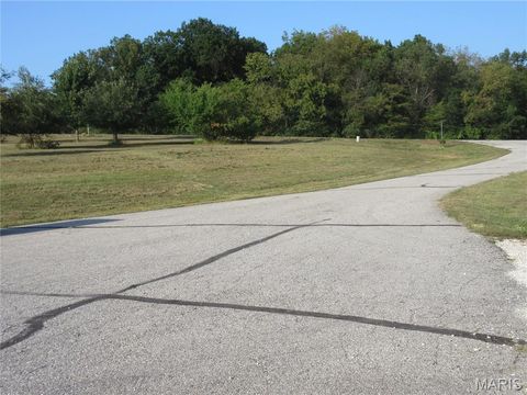 Tiny photo for 804 Timber Creek Court, Hawk Point, MO 63349 (MLS # 25062386)