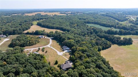 Tiny photo for 804 Timber Creek Court, Hawk Point, MO 63349 (MLS # 25062386)