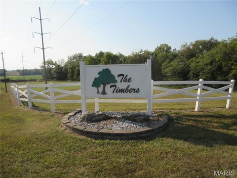 Photo of 804 Timber Creek Court, Hawk Point, MO 63349 (MLS # 25062386)