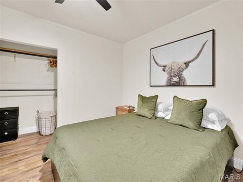 Tiny photo for 5516 Botanical Avenue, St Louis, MO 63110 (MLS # 26018670)