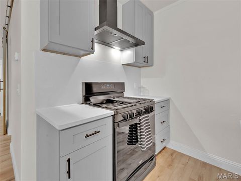 Tiny photo for 5516 Botanical Avenue, St Louis, MO 63110 (MLS # 26018670)