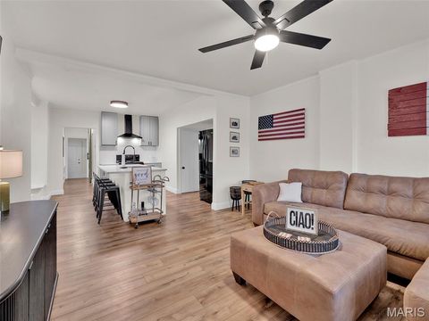 Tiny photo for 5516 Botanical Avenue, St Louis, MO 63110 (MLS # 26018670)