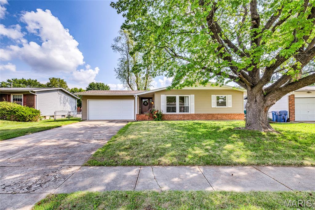 Flamingo Park 13 - Residential