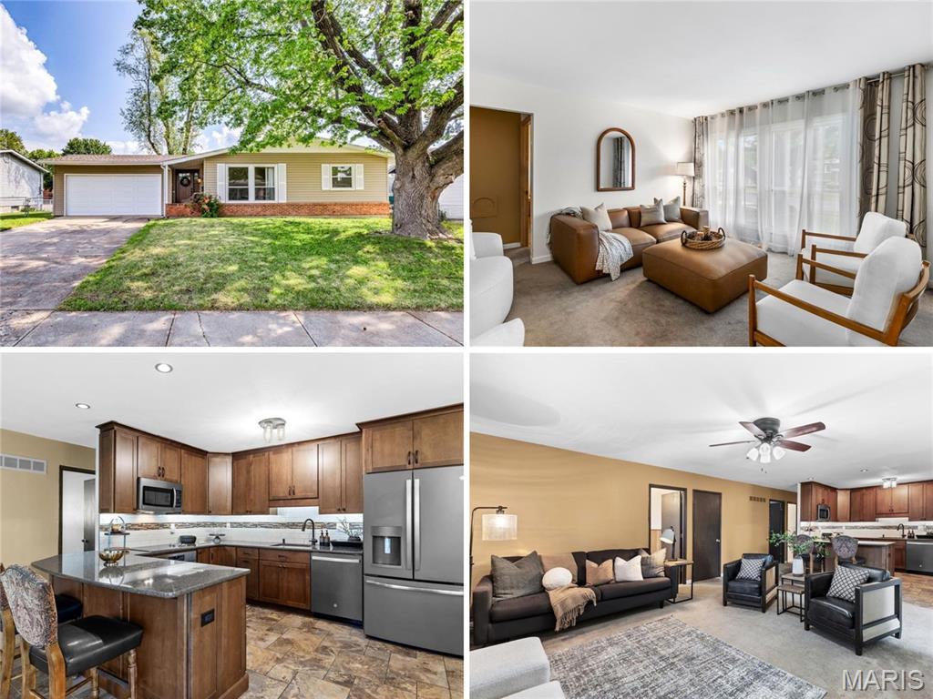 Flamingo Park 13 - Residential