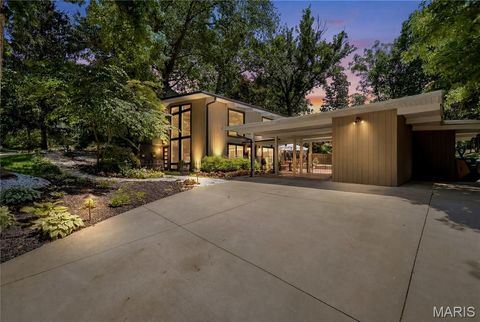 Photo of 424 Belleview Avenue, Webster Groves, MO 63119 (MLS # 26036001)