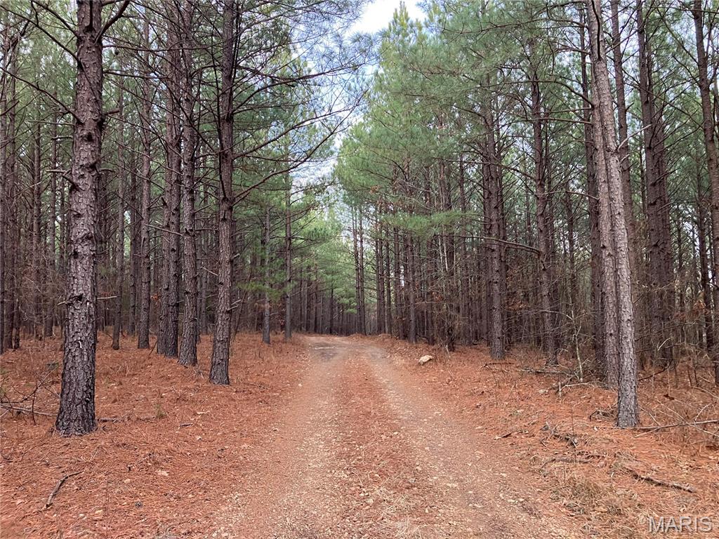 Cherokee Pass - Land