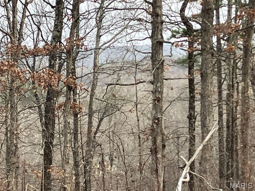 This ridgetop Ozark hideaway sits within about a mile of Mark Twain National Forest. 
The wooded property comes with NO restrictions. And there's a nice deeded easement road leading from the county road to the property.
Hunt, camp, build, ride ATVs on your own land, or fish or play in the nearby 12 Mile Creek ... endless opportunities.
This property is wooded and rolling. You are within a mile of the 22,176-acre Mark Twain National Forest ... public ground where you can also hunt, ride and explore. All this, and only about 2 miles by road from U.S. 67.
Use this wooded, secluded property as a base camp for adventure. This and surrounding land is teeming with deer, turkey and small game, and the occasional feral hog or maybe a black bear.
There is additional acres available which adjoin this piece if interested.