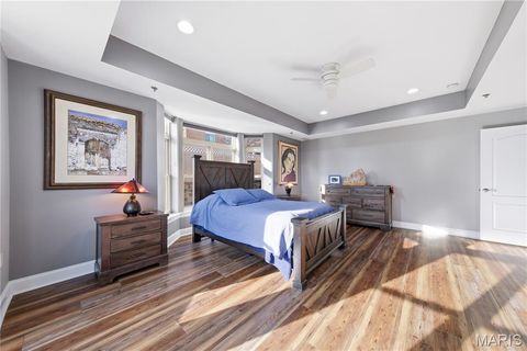 Tiny photo for 842 N New Ballas Court #102, Creve Coeur, MO 63141 (MLS # 26012378)