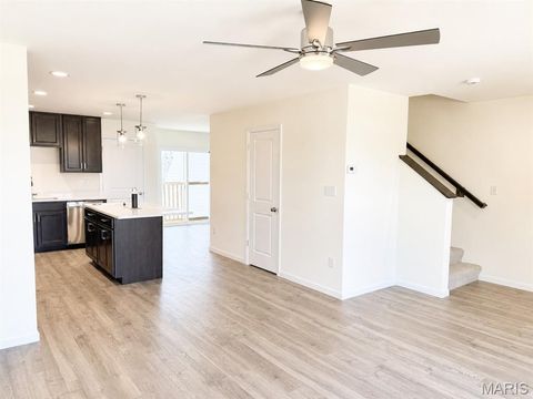 Tiny photo for 316 Fall Harvest Parkway, Wentzville, MO 63385 (MLS # 26033279)
