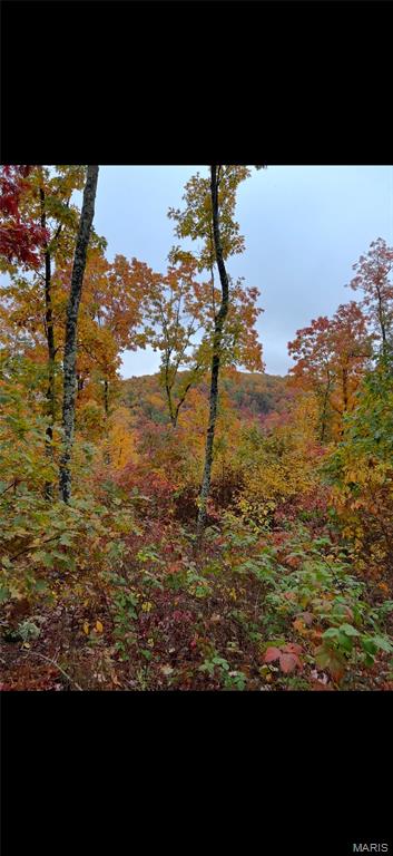 Unincorporated - Land