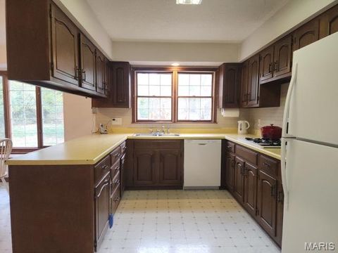 Tiny photo for 274 Falling Leaves Court, Creve Coeur, MO 63141 (MLS # 25078027)