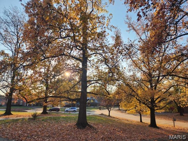 274 Falling Leaves Court