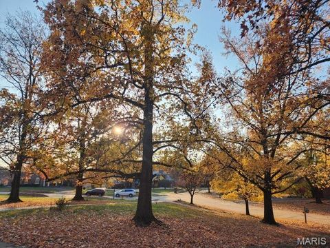 Tiny photo for 274 Falling Leaves Court, Creve Coeur, MO 63141 (MLS # 25078027)