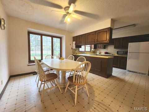 Tiny photo for 274 Falling Leaves Court, Creve Coeur, MO 63141 (MLS # 25078027)