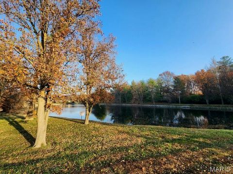 Tiny photo for 274 Falling Leaves Court, Creve Coeur, MO 63141 (MLS # 25078027)