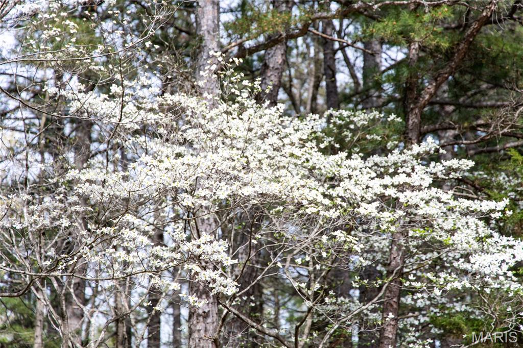 Kingston Lake Estates - Land