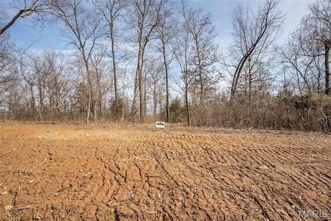 Tiny photo for 28 Oakview Ct. - Lot 13, Troy, MO 63379 (MLS # 26005193)