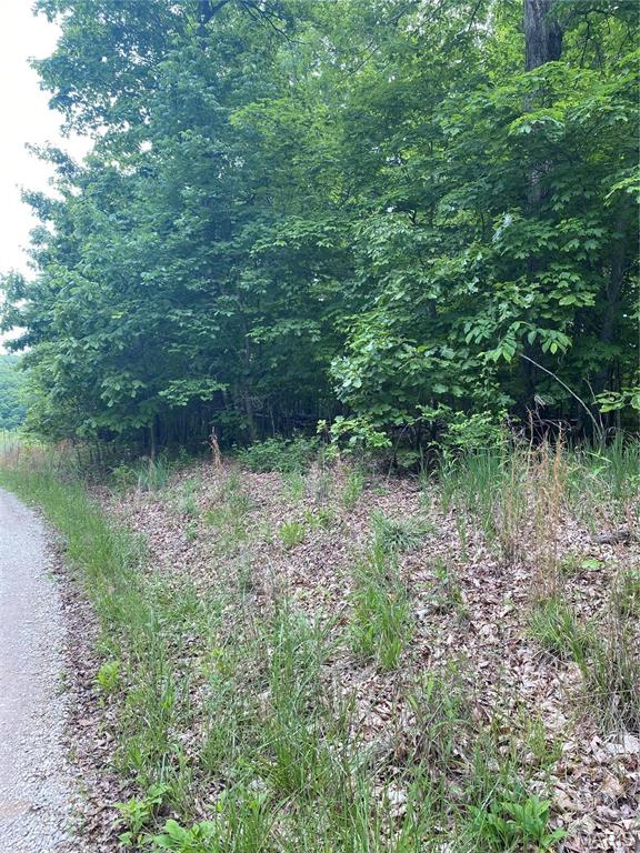 14 +/- AC Steeple Rock Drive