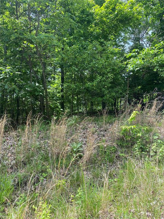 14 +/- AC Steeple Rock Drive