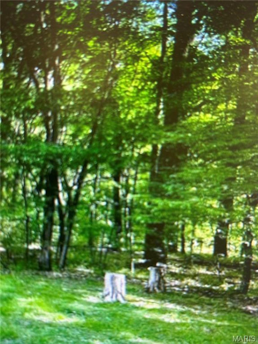 The land is located in the Sunny Acre Estates subdivision at the end of the paved road on Sunnywood Drive, just beyond the home at 5716 Sunnywood Drive. This property has a natural spring running through it and offers a great opportunity for someone looking for peace and quiet or a place to build a dream home.