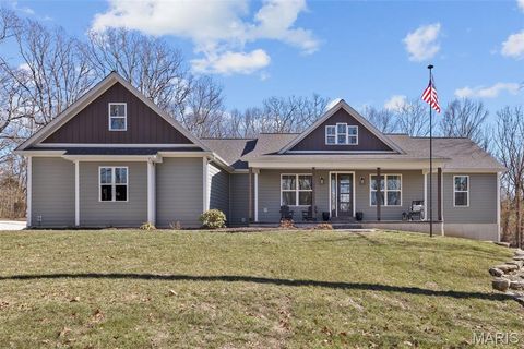 Photo of 5601 Forest Drive, Hillsboro, MO 63050 (MLS # 26009619)