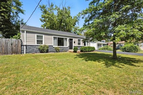 1 Dickson Court Kirkwood MO 63122