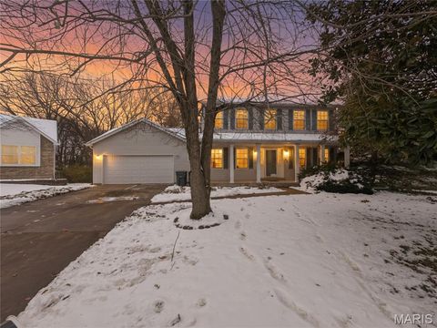 Photo of 852 Molloy Drive, St Charles, MO 63366 (MLS # 25078783)