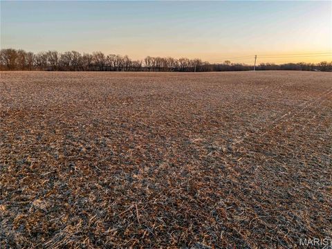 Tiny photo for 00 Highway B Highway, Elsberry, MO 63343 (MLS # 26008905)