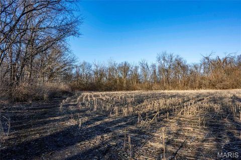 Tiny photo for 00 Highway B Highway, Elsberry, MO 63343 (MLS # 26008905)