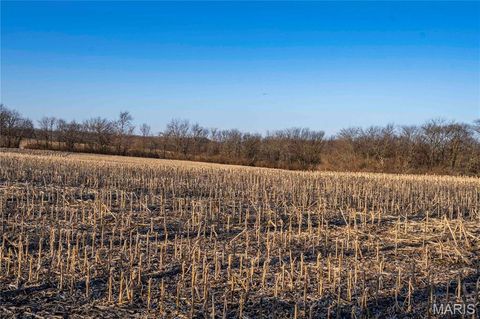 Tiny photo for 00 Highway B Highway, Elsberry, MO 63343 (MLS # 26008905)