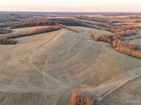 Tiny photo for 00 Highway B Highway, Elsberry, MO 63343 (MLS # 26008905)