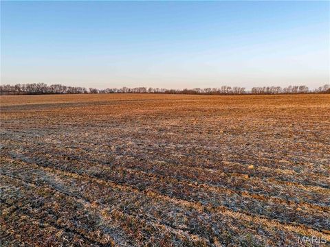 Tiny photo for 00 Highway B Highway, Elsberry, MO 63343 (MLS # 26008905)